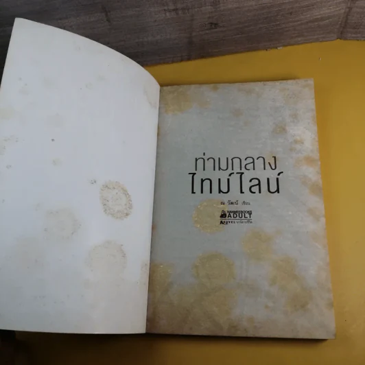 ท่ามกลางไทม์ไลน์ - ณ วัฒน์ รูปที่ 8