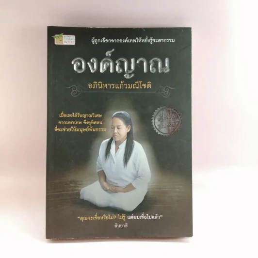 องค์ญาณ อภินิหารแก้วมณีโชติ - สันยาสี รูปที่ 1