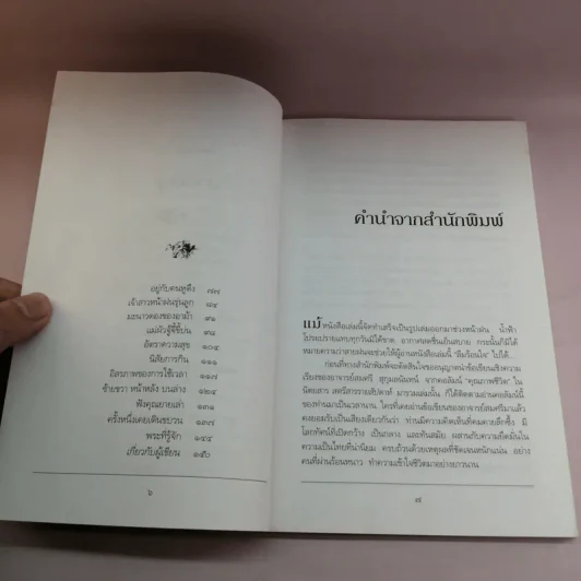 ลืมร้อน - สมศรี สุกุมลนันทน์ รูปที่ 8