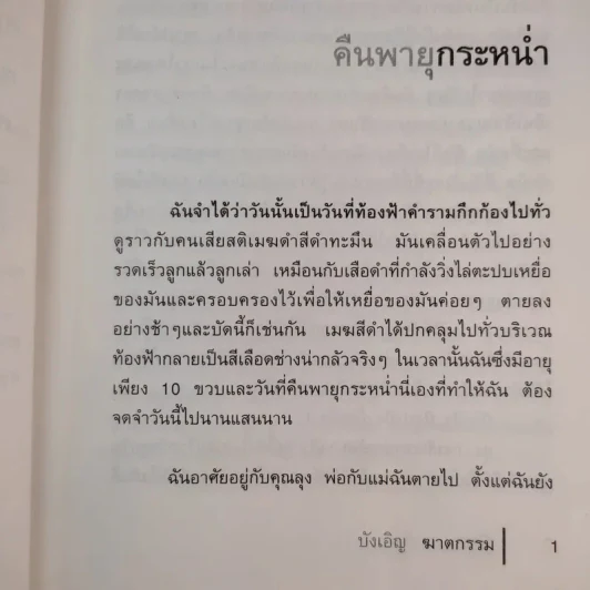 บังเอิญฆาตกรรม - ณัฐชา นฤกวิน รูปที่ 12
