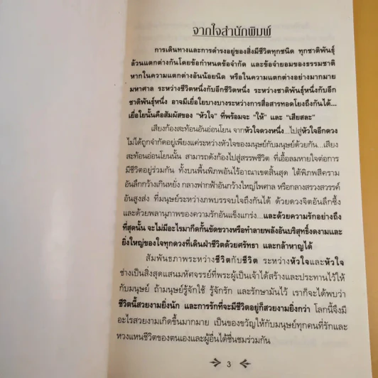 โลมาเพื่อนรักมหัศจรรย์ ตอน โจดี้ & โรซี่ เพื่อนซี้ทะเลลึก รูปที่ 8
