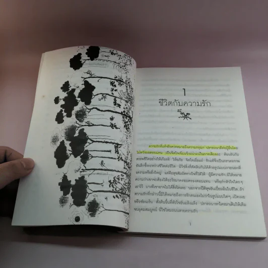 สู่เส้นทางรัก - แพทย์เชิงดอย รูปที่ 9