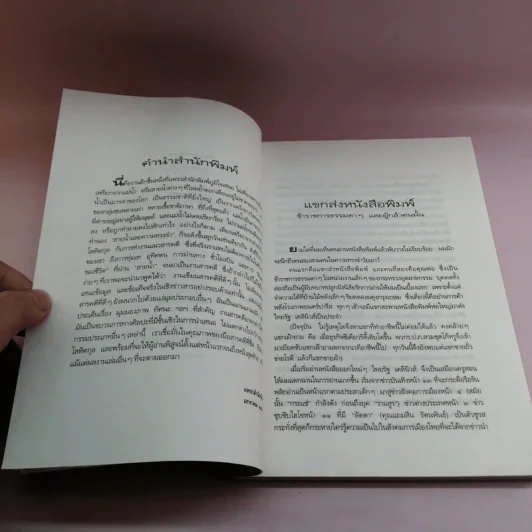 สายน้ำและความทรงจำ - ธีรภาพ โลหิตกุล รูปที่ 9