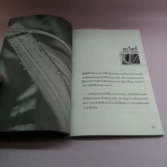 อัศจรรย์สมุนไพรไทย ยาก้นครัว ตะไคร้-กระชาย - มนตรี แสนสุข รูปที่ 11