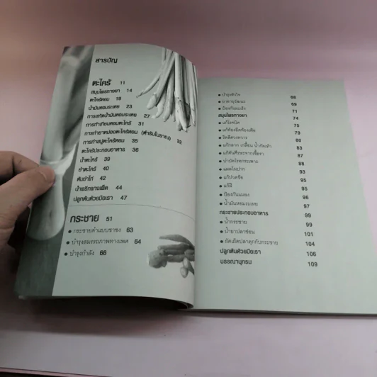 อัศจรรย์สมุนไพรไทย ยาก้นครัว ตะไคร้-กระชาย - มนตรี แสนสุข รูปที่ 10
