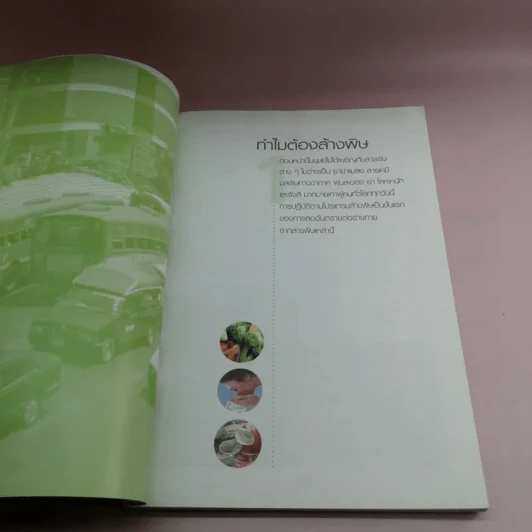 คู่มือดูแลสุขภาพด้วยการล้างพิษ Detox Handbook รูปที่ 11