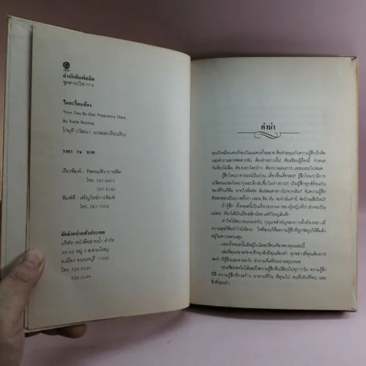 ไดอะรี่คนท้อง - คาร์ลา โบนิเม รูปที่ 6