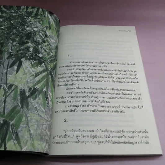 ดาวบางดวง - โอปอล์ ประภาวดี รูปที่ 19