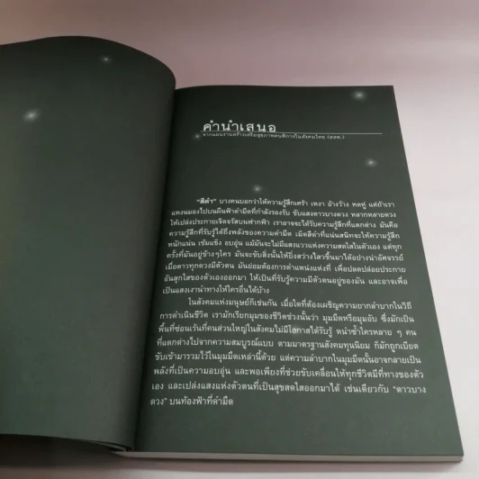 ดาวบางดวง - โอปอล์ ประภาวดี รูปที่ 8