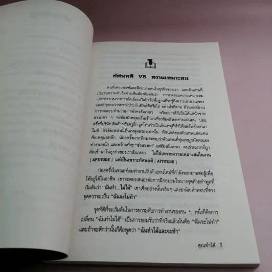 คุณทำได้ - นอร์แมน จี. เลอวีน รูปที่ 14