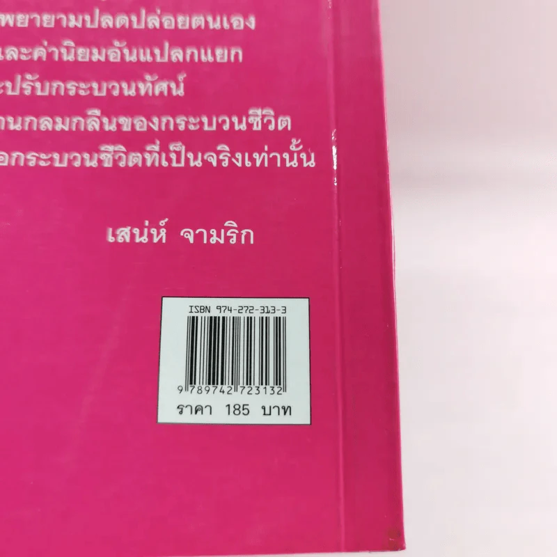 ฐานคิดสู่ทางเลือกใหม่ของสังคมไทย - ศ.เสน่ห์ จามริก รูปที่ 19
