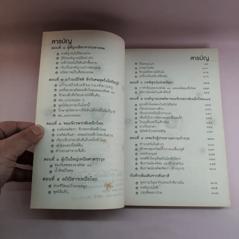 องค์ญาณ อภินิหารแก้วมณีโชติ - สันยาสี รูปที่ 9