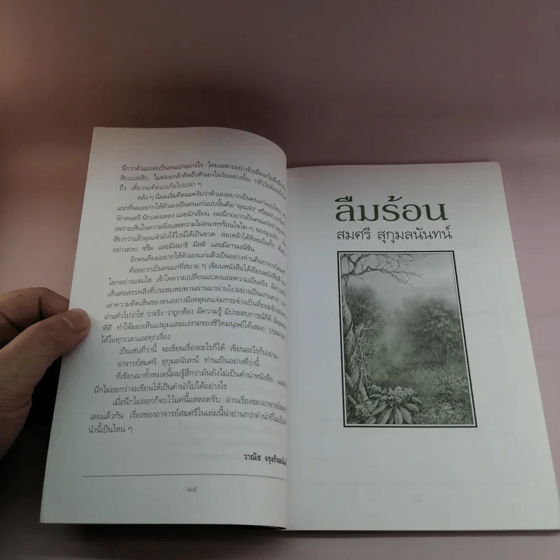 ลืมร้อน - สมศรี สุกุมลนันทน์ รูปที่ 12