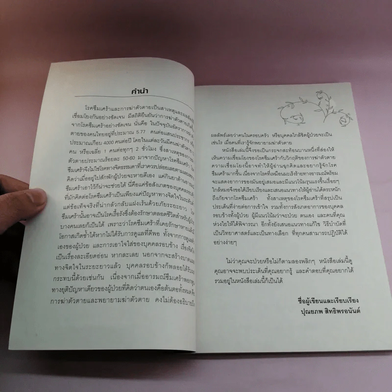 ฆ่าตัวตายเพราะโรคซึมเศร้า - ปุณยภพ สิทธิพรอนันต์ รูปที่ 8