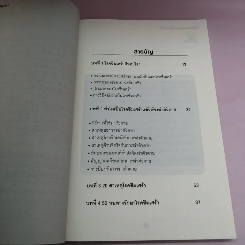 ฆ่าตัวตายเพราะโรคซึมเศร้า - ปุณยภพ สิทธิพรอนันต์ รูปที่ 9