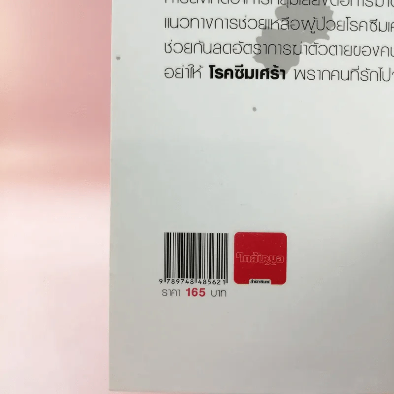 ฆ่าตัวตายเพราะโรคซึมเศร้า - ปุณยภพ สิทธิพรอนันต์ รูปที่ 15