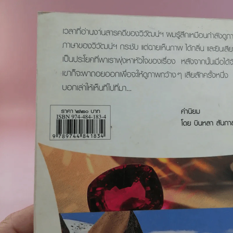 ซาฟารีสี่ย่านสมุทร - วิวัฒน์ พันธวุฒิยานนท์ รูปที่ 16