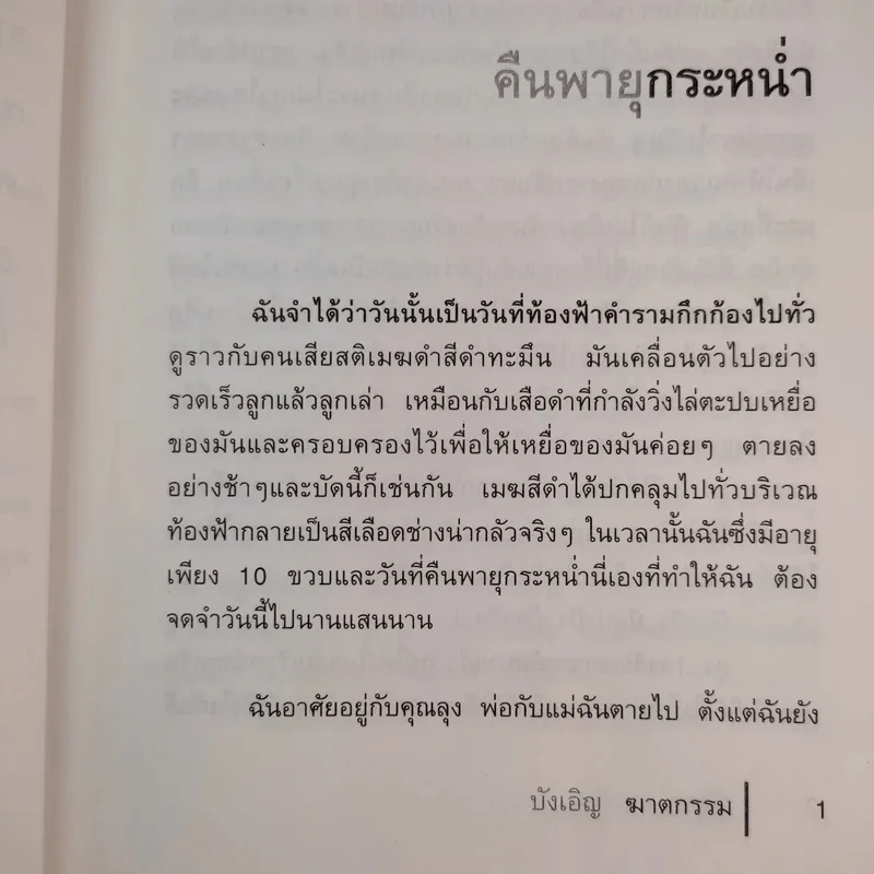 บังเอิญฆาตกรรม - ณัฐชา นฤกวิน รูปที่ 12