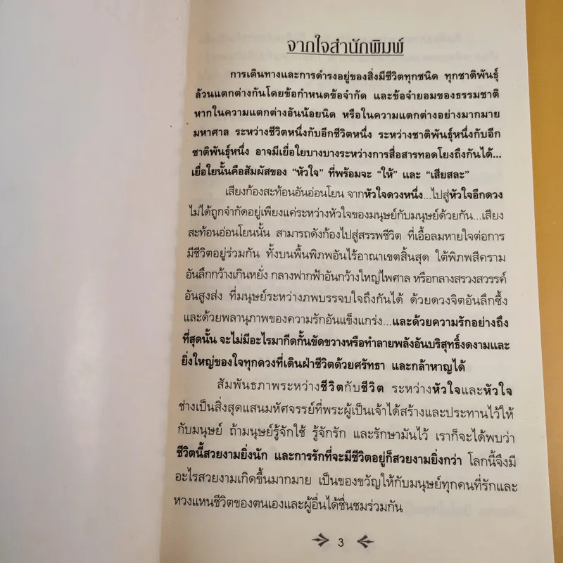 โลมาเพื่อนรักมหัศจรรย์ ตอน โจดี้ & โรซี่ เพื่อนซี้ทะเลลึก รูปที่ 8