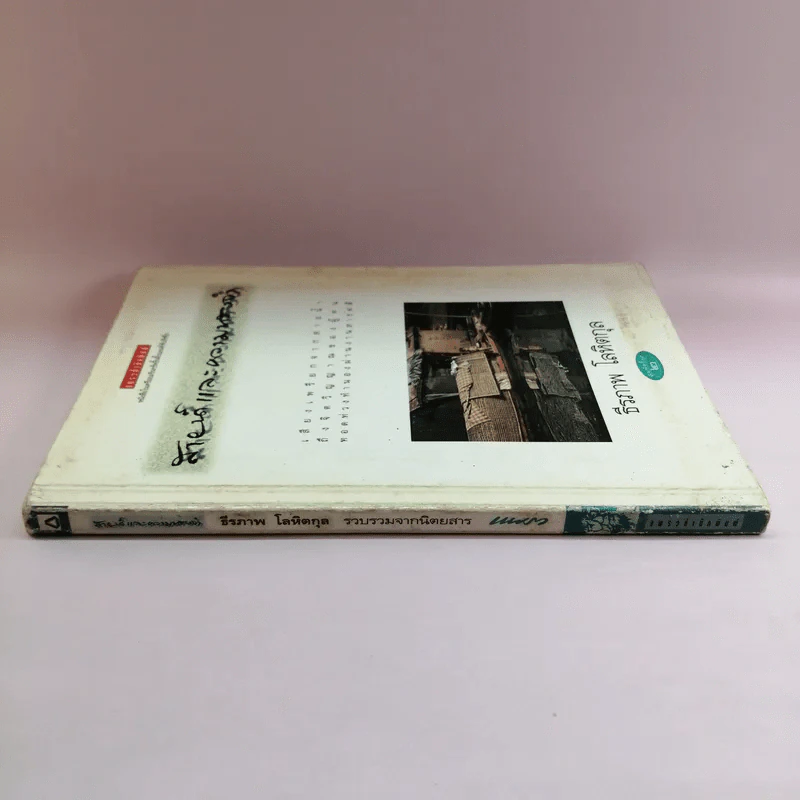 สายน้ำและความทรงจำ - ธีรภาพ โลหิตกุล รูปที่ 2