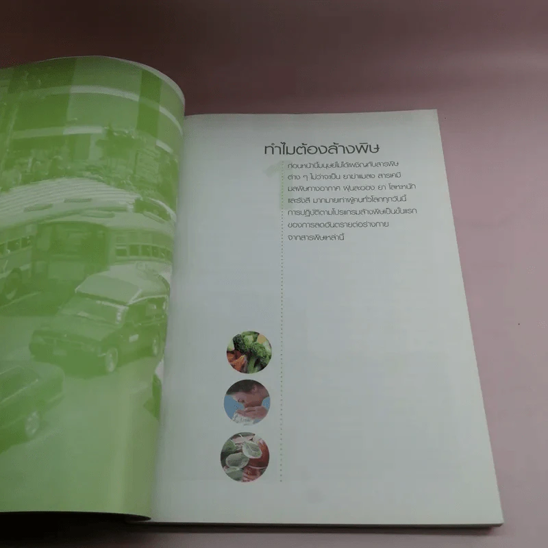 คู่มือดูแลสุขภาพด้วยการล้างพิษ Detox Handbook รูปที่ 11