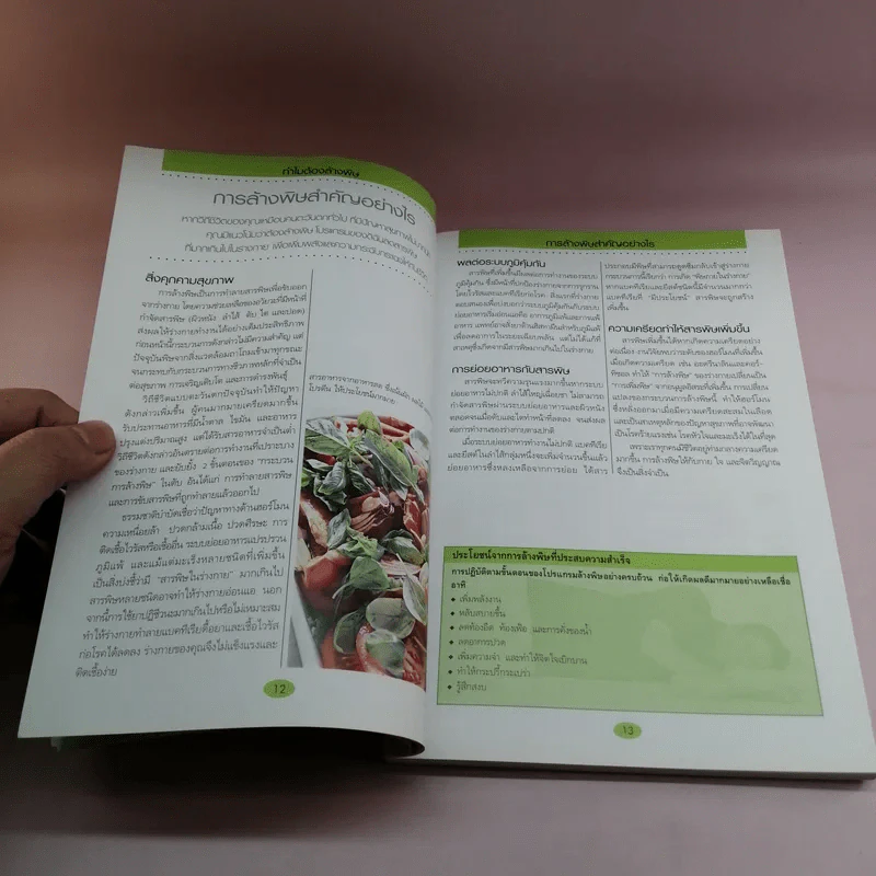 คู่มือดูแลสุขภาพด้วยการล้างพิษ Detox Handbook รูปที่ 12