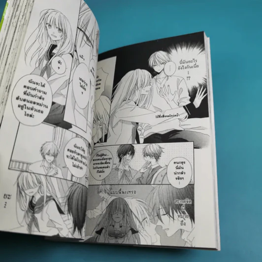 นายหมาป่าโอกามิคุง เล่ม 1 รูปที่ 9