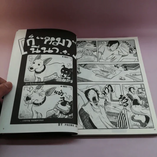 การ์ตูนหน้าพระลาน ฉบับพิเศษ รูปที่ 9
