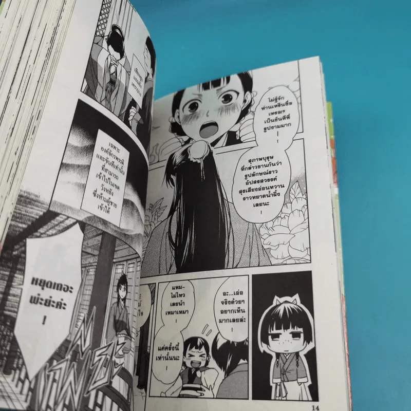 เสียงรำพึงจากหมอยา บันทึกไขปริศนาแห่งวังหลังของเหมาเหมา เล่ม 1 รูปที่ 8