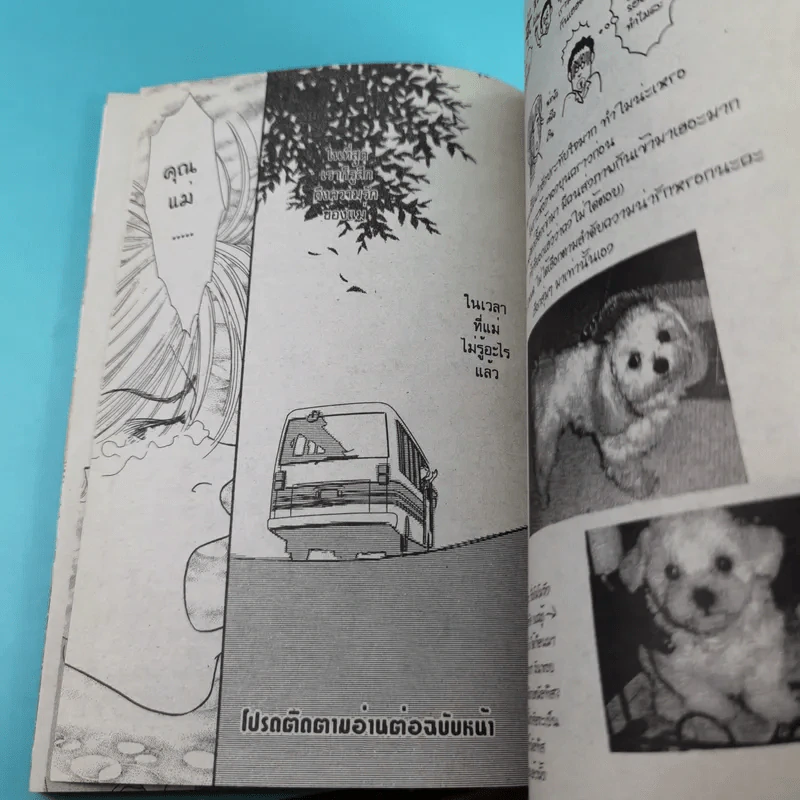 แสบซ่าส์คุณย่ามหาภัย 2 เล่มจบ รูปที่ 11