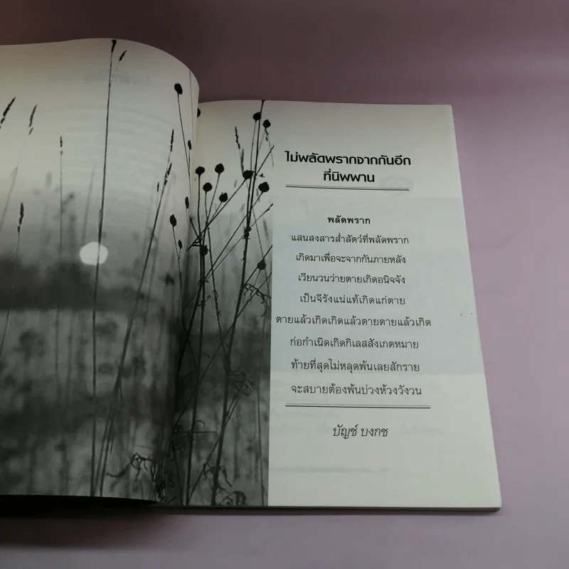 ลงนรกหรือขึ้นสวรรค์ หลังความตาย กฎแห่งกรรมใครกำหนด - บัญช์ บงกช รูปที่ 10