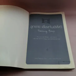 ลูกชาย เลี้ยงกันยังไงดี - Steve Biddulph รูปที่ 6