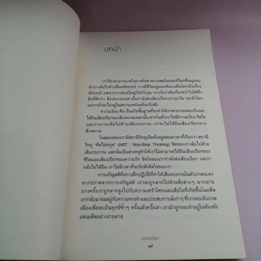 ความเงียบ Silence พลังแห่งความเงียบสงบ ในโลกที่เต็มไปด้วยเสียงรบกวน - ติช นัท ฮันห์ รูปที่ 13