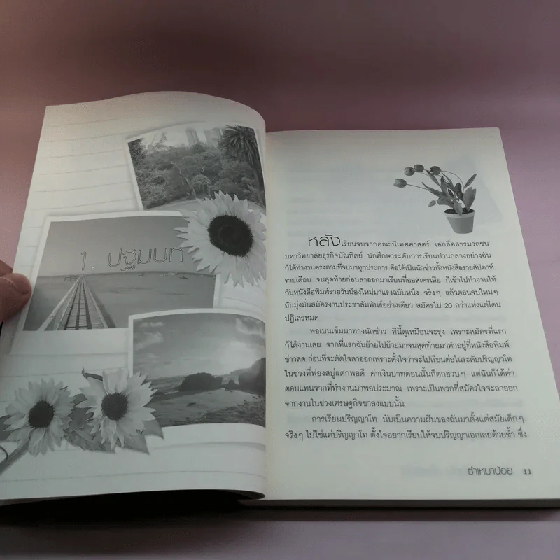 เรียนไปกระโดดไป...สไตล์จิงโจ้ - ซำเหมาน้อย รูปที่ 11