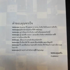 I'm a Pilot ผมคือนักบิน - Flamingo รูปที่ 11