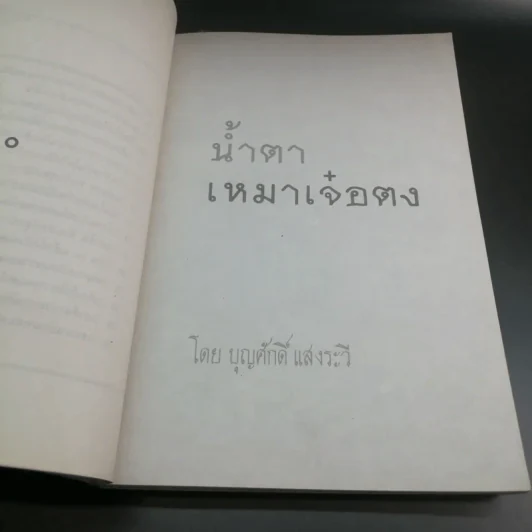 น้ำตาเหมาเจ๋อตง - องครักษ์ หลี่อิ๋นเฉียว รูปที่ 11