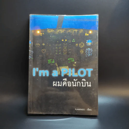 I'm a Pilot ผมคือนักบิน - Flamingo รูปที่ 1