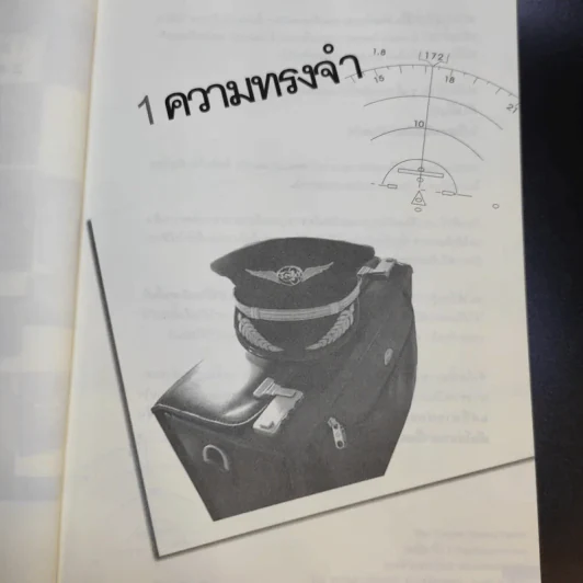 I'm a Pilot ผมคือนักบิน - Flamingo รูปที่ 13