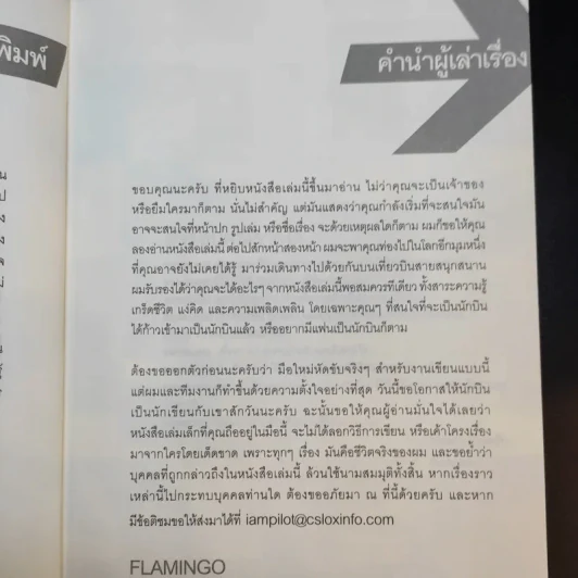 I'm a Pilot ผมคือนักบิน - Flamingo รูปที่ 10