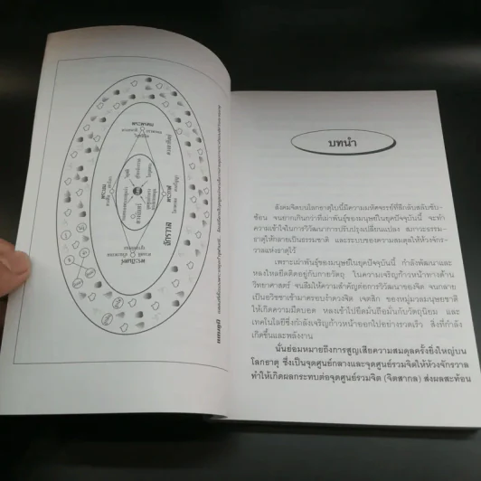 พุทธทำนายมิคสัญญี ทางรอดของมนุษยชาติ - อริยะ รูปที่ 10