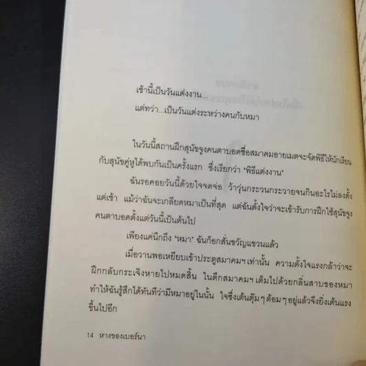 หางของเบอร์นา - กุนจิ นานาเอะ รูปที่ 14