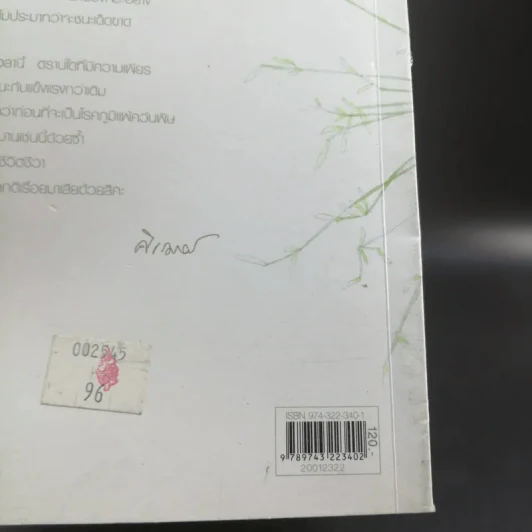 ทางเลือกมีมากกว่าหนึ่ง - ศิเรมอร อุณหธูป รูปที่ 15