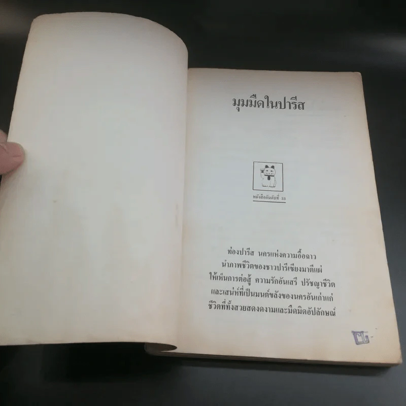 มุมมืดในปารีส - กันต์ เกียรติก้อง รูปที่ 6