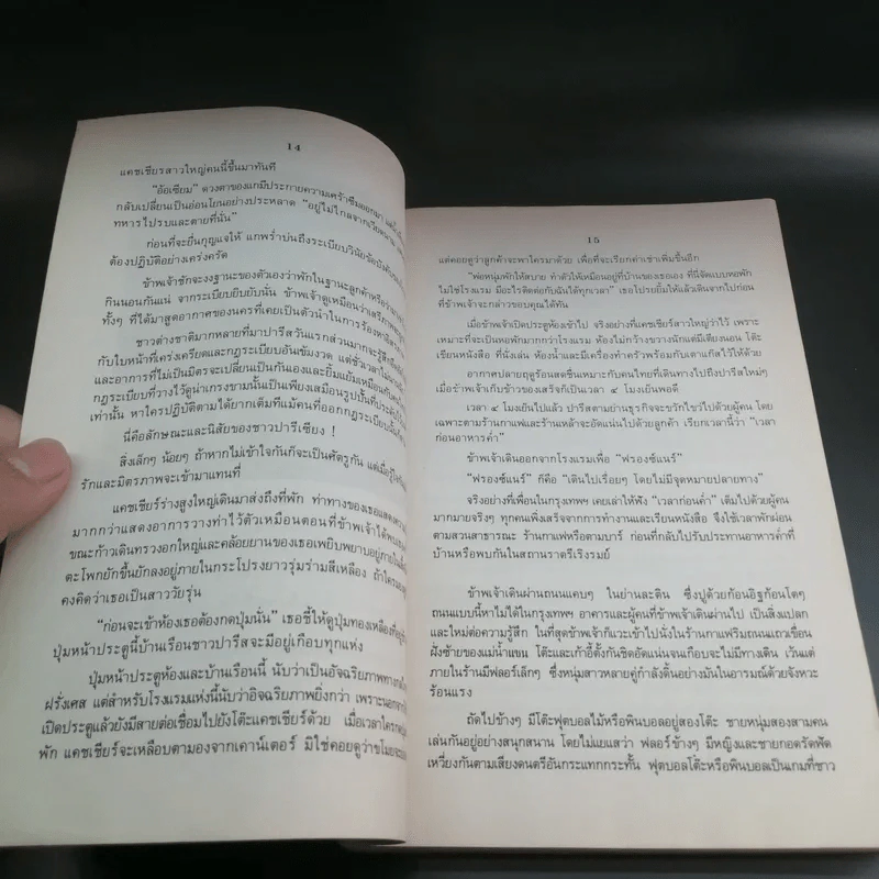 มุมมืดในปารีส - กันต์ เกียรติก้อง รูปที่ 13