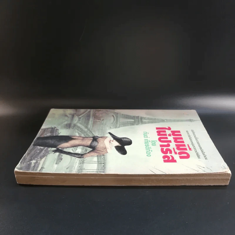 มุมมืดในปารีส - กันต์ เกียรติก้อง รูปที่ 3