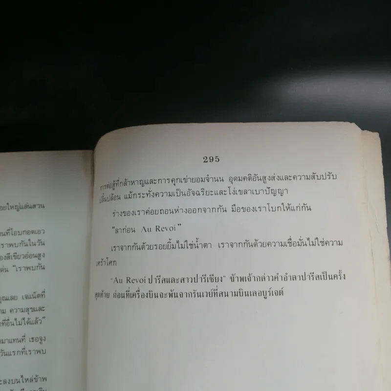 มุมมืดในปารีส - กันต์ เกียรติก้อง รูปที่ 14