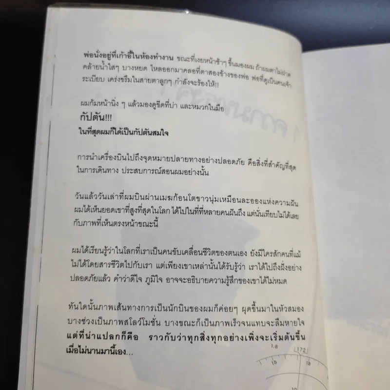 I'm a Pilot ผมคือนักบิน - Flamingo รูปที่ 14