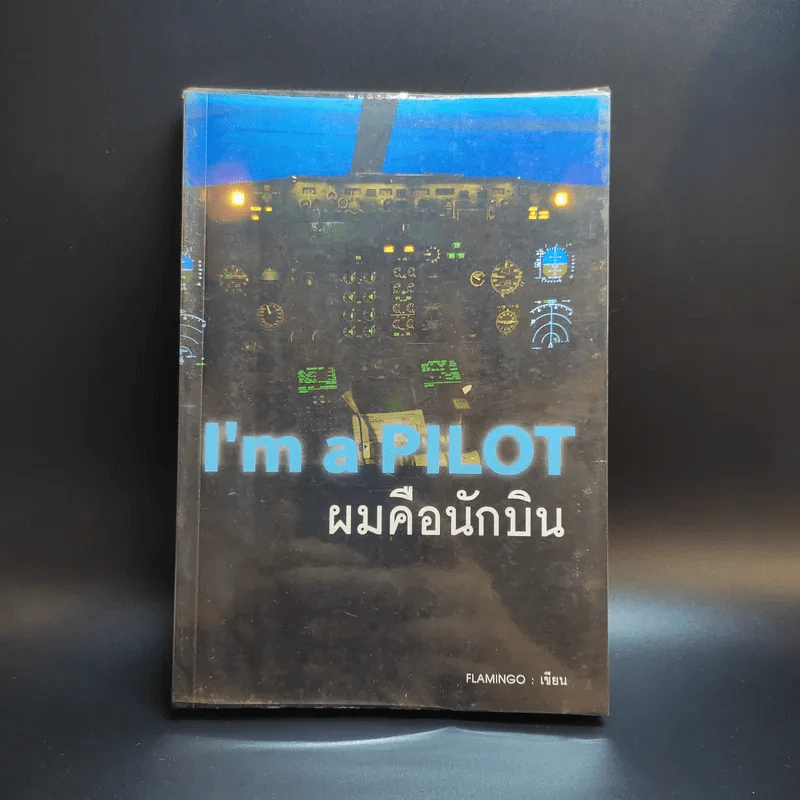 I'm a Pilot ผมคือนักบิน - Flamingo รูปที่ 1