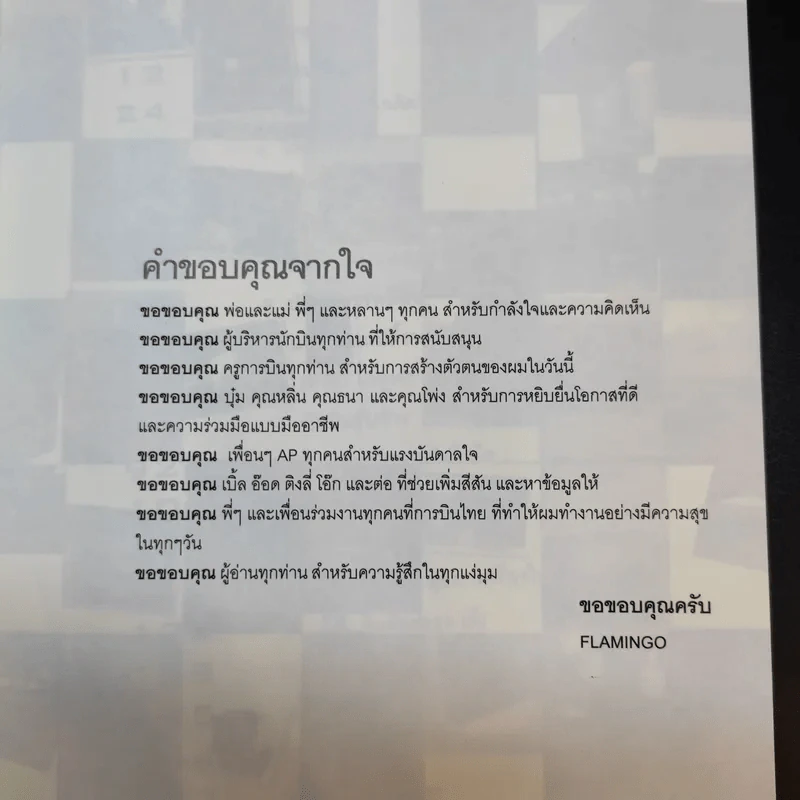I'm a Pilot ผมคือนักบิน - Flamingo รูปที่ 11