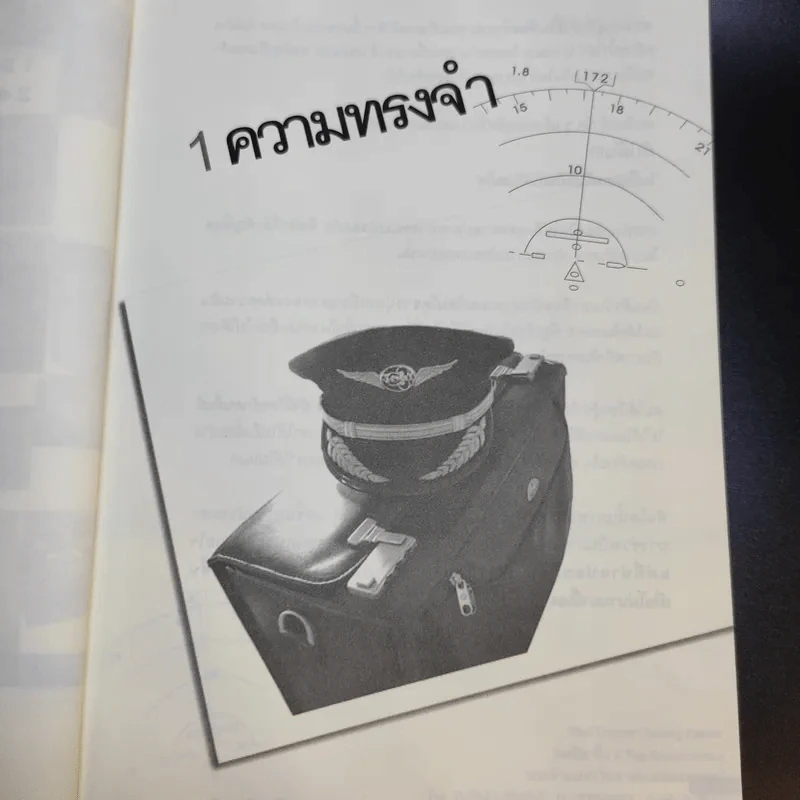 I'm a Pilot ผมคือนักบิน - Flamingo รูปที่ 13